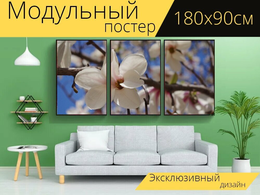 Модульный постер  Магнолия  кобус  цветок  180 x 90 см  для интерьера
