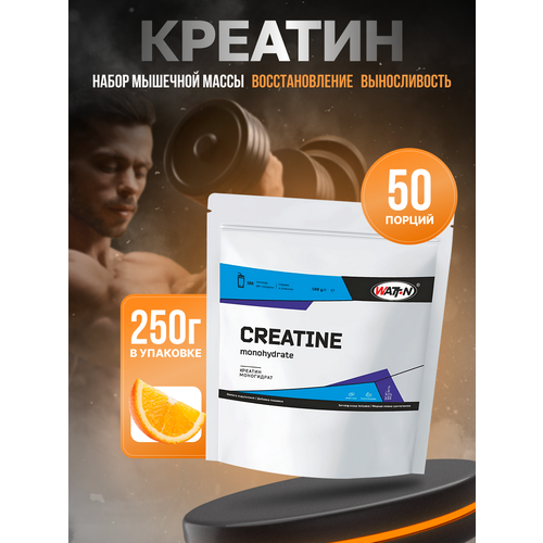 WATT NUTRITION Creatine Monohydrate / Креатин моногидрат, 250 гр, апельсин