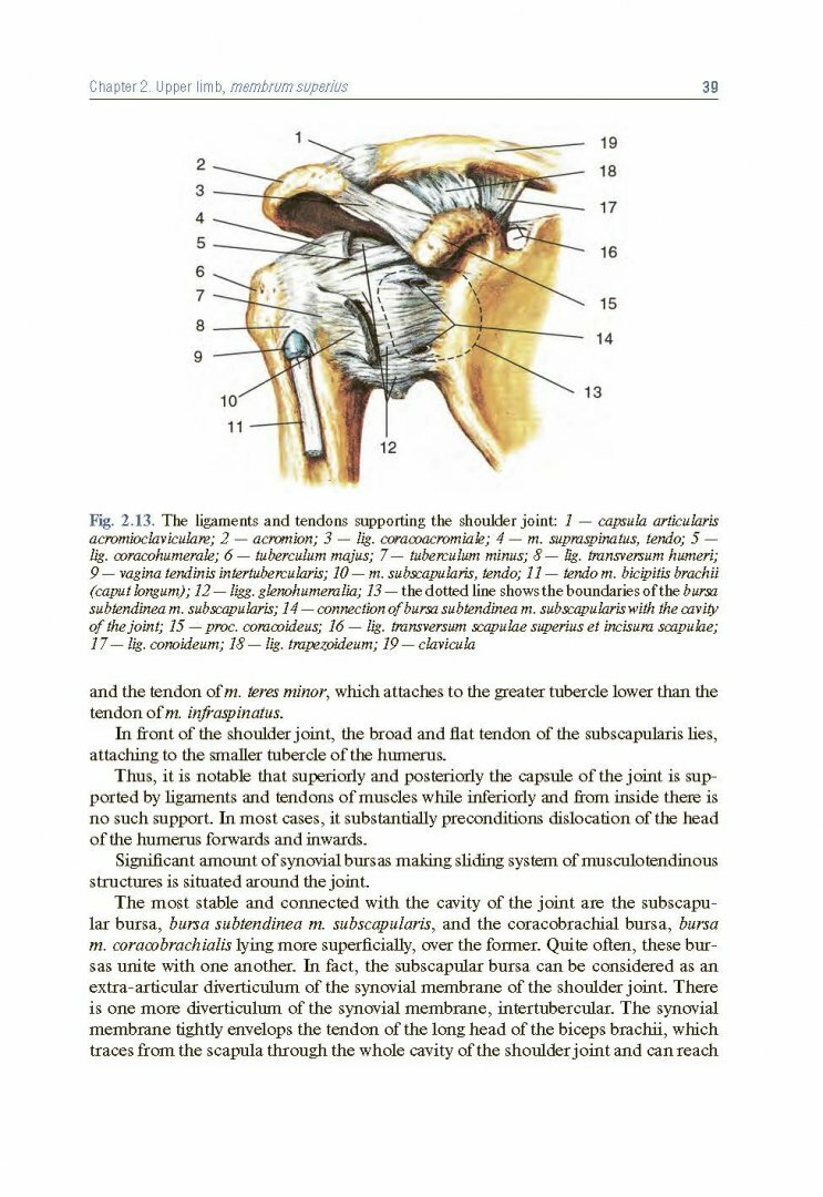 Анатолий Николаев "Topographic Anatomy and Operative Surgery. Textbook" - фото №3
