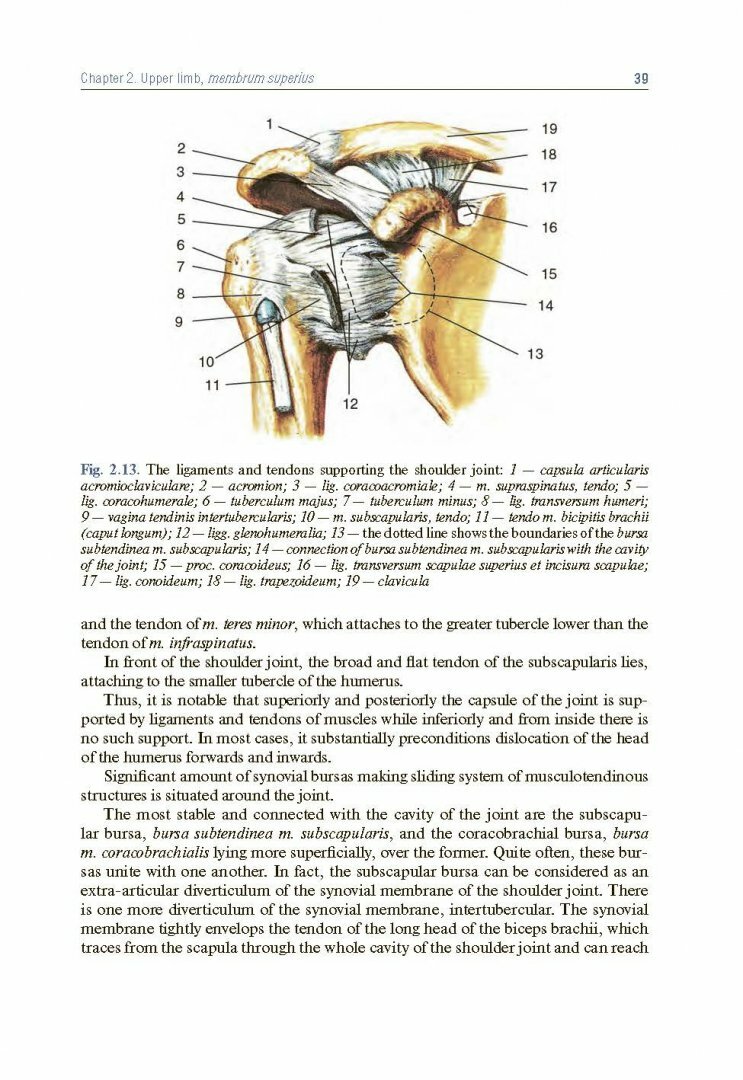 Topographic Anatomy and Operative Surgery. Textbook - фото №3