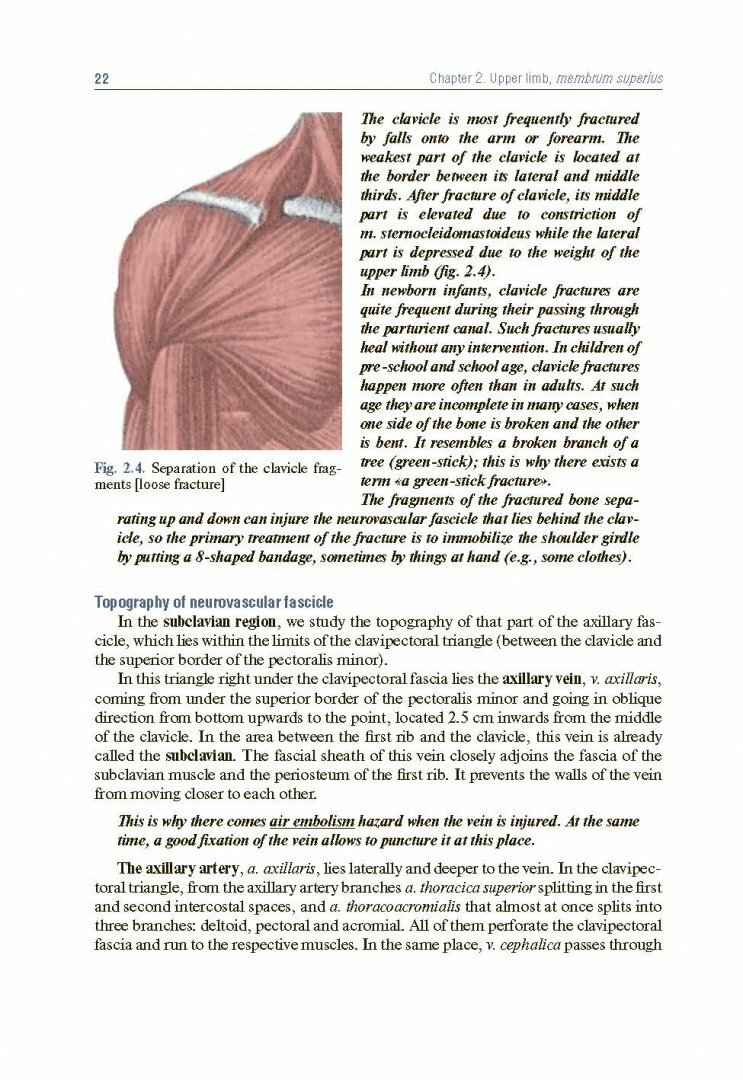 Topographic Anatomy and Operative Surgery. Textbook - фото №12