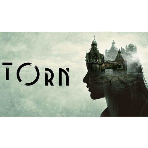 игра puddle для pc steam электронная версия Игра Torn для PC (STEAM) (электронная версия)