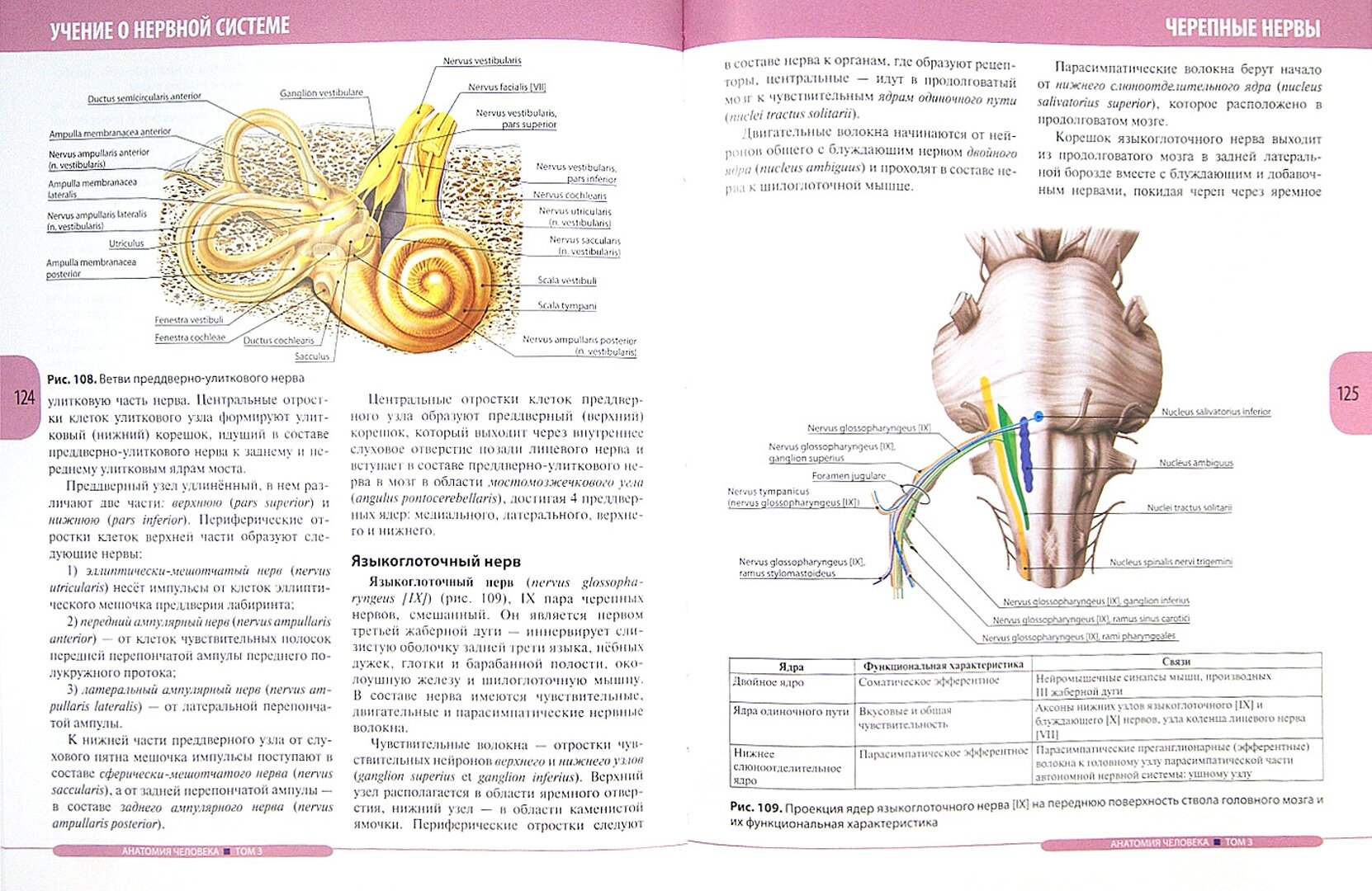 Анатомия человека. Учебник в 3-х томах. Том 3. Нервная система. Органы чувств - фото №7
