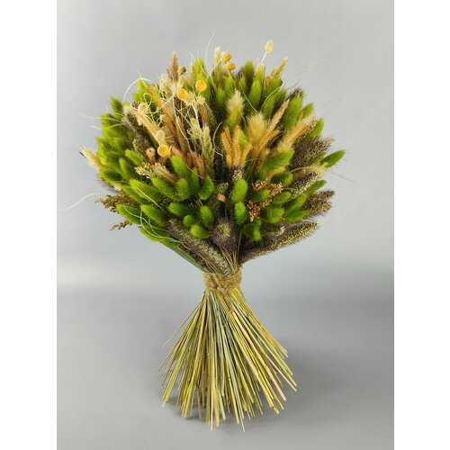 Букет с зеленым лагурусом Б51-B101