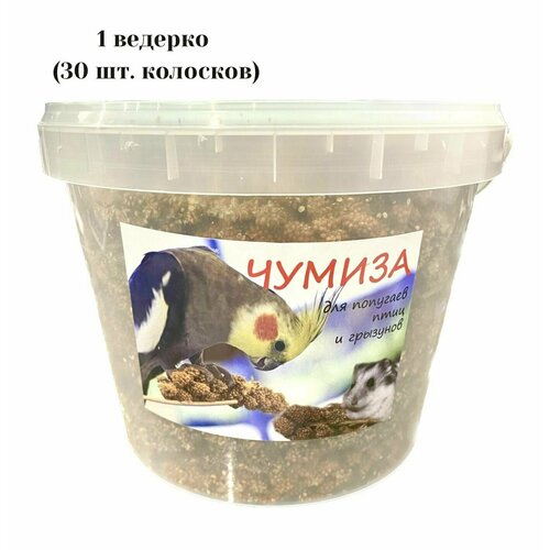 Лакомство для птиц и грызунов чумиза (колоски 30 шт), 1 ведерко