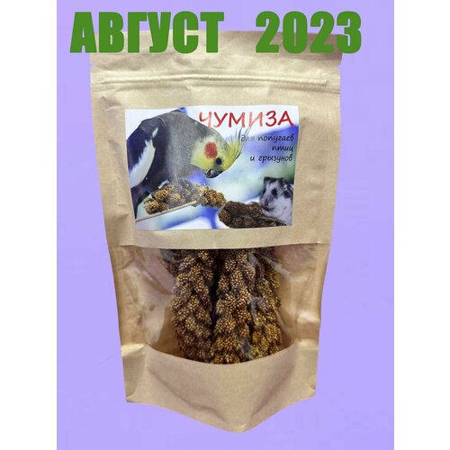 Лакомство для птиц и грызунов чумиза (колоски 5 шт), 100 пакетов