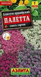 Алиссум Палетта, смесь сортов 0,03г Аэлита