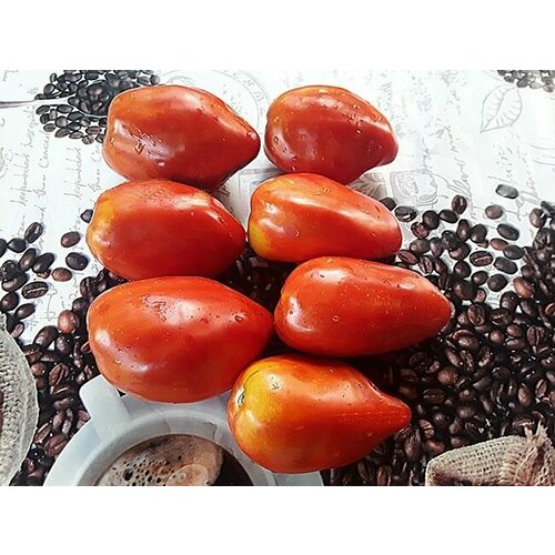 Коллекционные семена томата Гранённое Бычье Сердце коллекционные семена томата японское бычье сердце