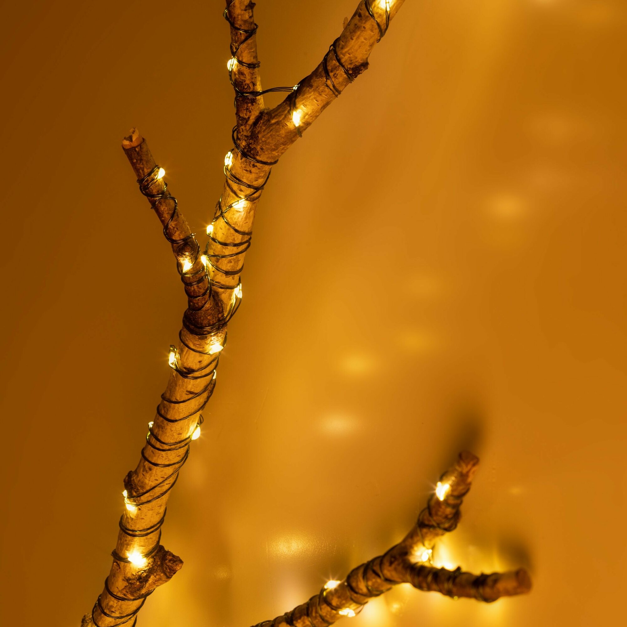100м. Новогодняя гирлянда нить холодный свет Эра ENIN-1000W 1000LED IP44 220В (Б0060430) - фото №4
