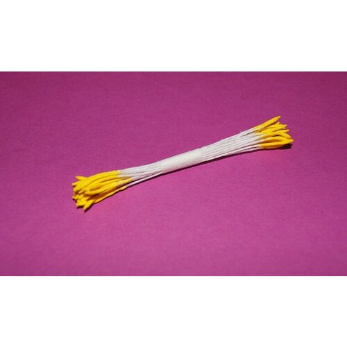 Тычинки желтые (с удлиненным наконечником)