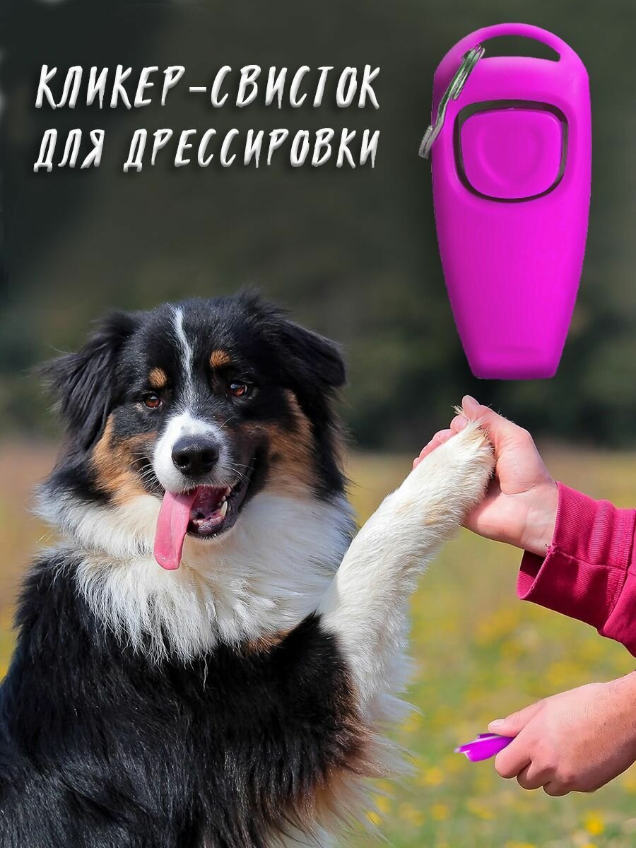 Кликер-свисток для дрессировки