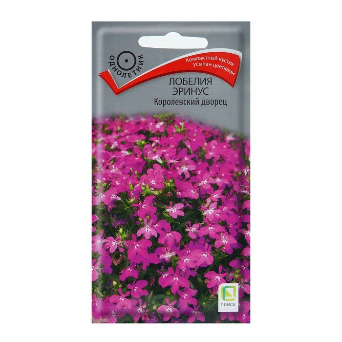 Семена цветов Лобелия эринус 