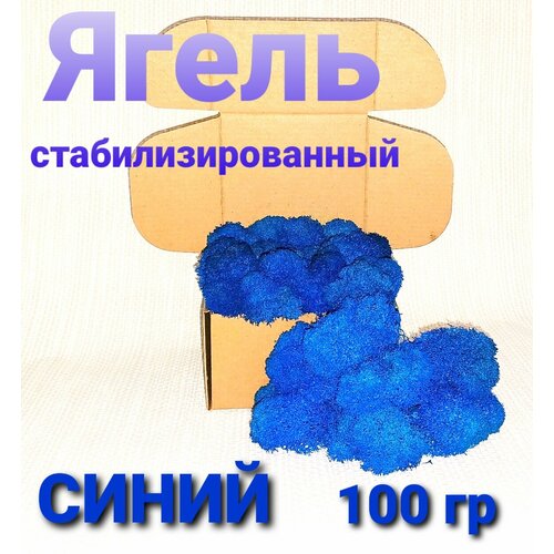 Мох ягель стабилизированный синий 439₽