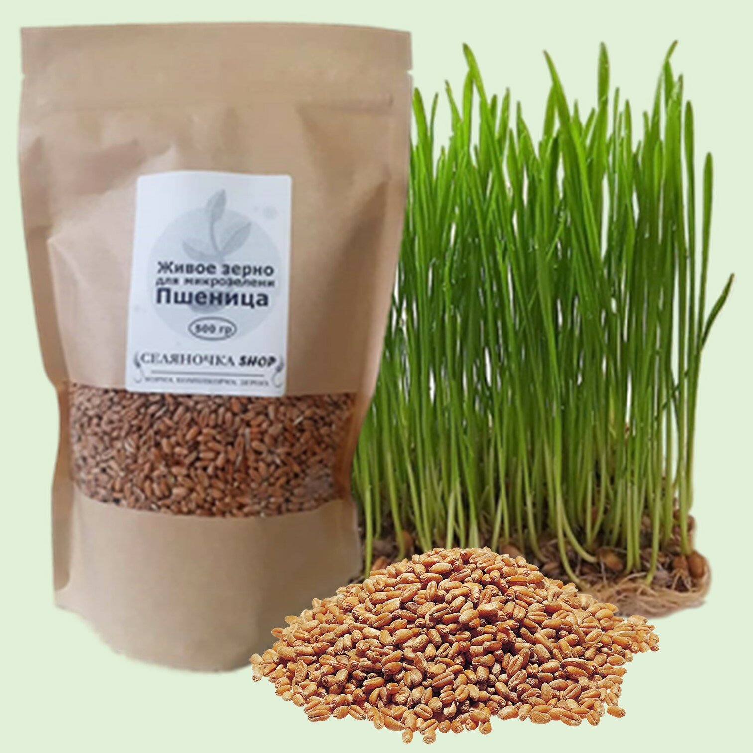 Набор семян для микрозелени "Живое зерно" 4 шт: Пшеница 500 гр, Овёс 300 гр, Семечка 300 гр, Горох 500 гр