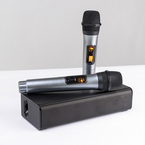 Портативная колонка с микрофонами LY-S228 1079000₽