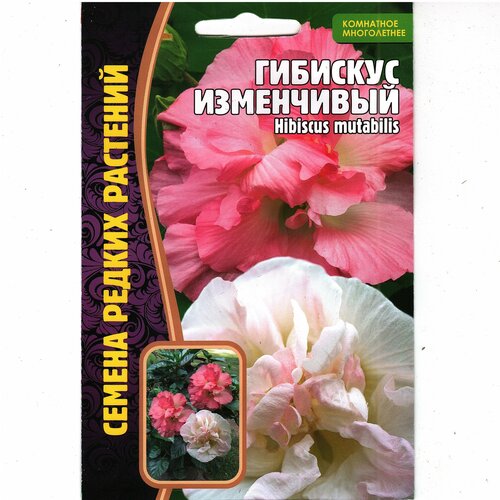 Гибискус изменчивый/ Hibiscus mutabilis, комнатный многолетник ( 1уп: 10 семян ) гибискус сирийский комнатный многолетник 1уп 7 семян