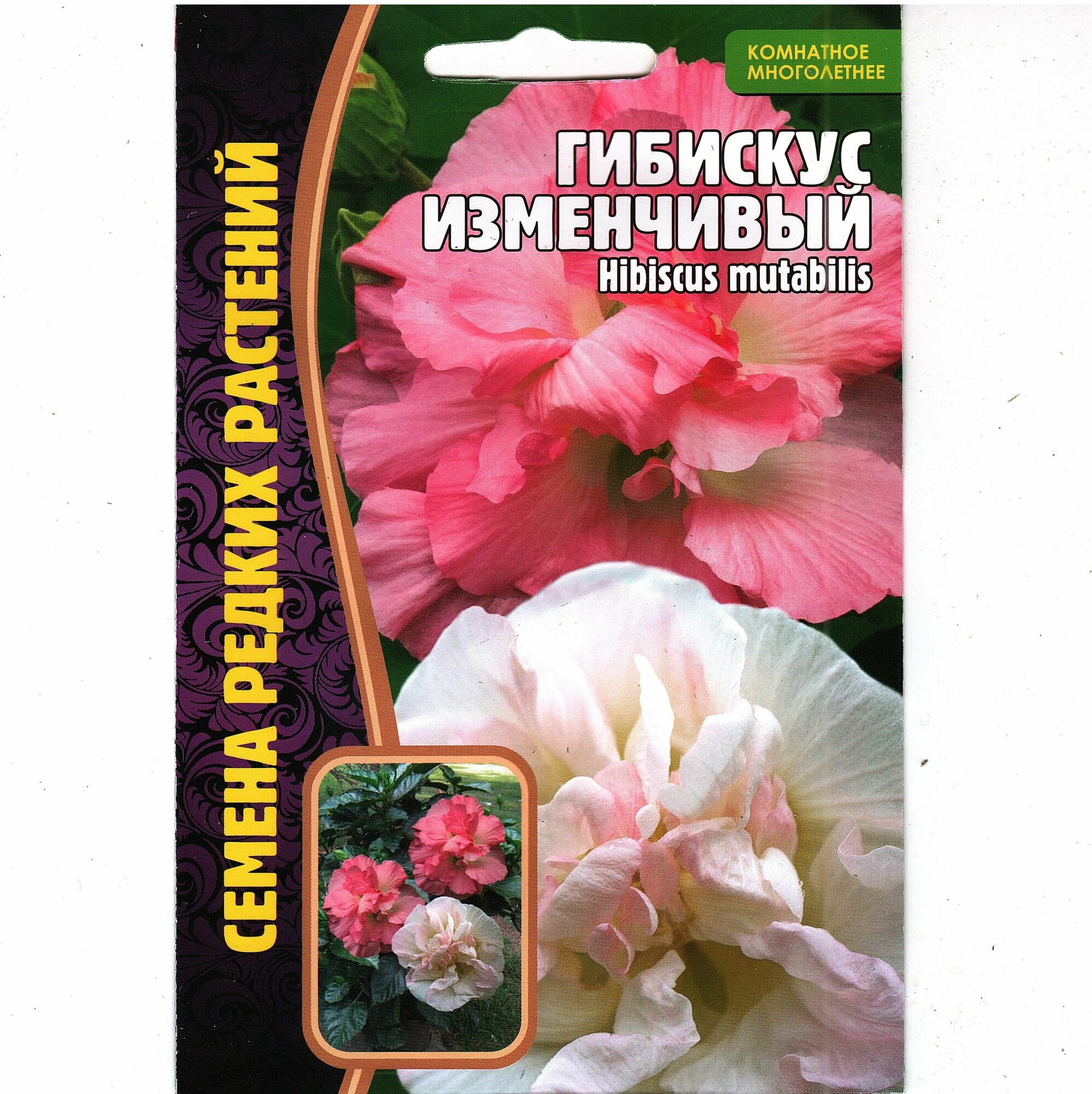 Гибискус изменчивый/ Hibiscus mutabilis комнатный многолетник ( 1уп: 10 семян )