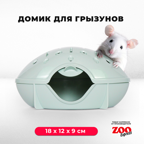 Домик-переноска ZOOexpress для грызунов, хомяков, крыс и мышей, 18х12х9 см, с дверцей, светло-зеленый