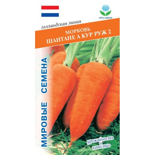морковь шантенэ а кур руж 2 1гр цв п Морковь Шантенэ А Кур Руж 2, 1 г. семян, VITA GREEN