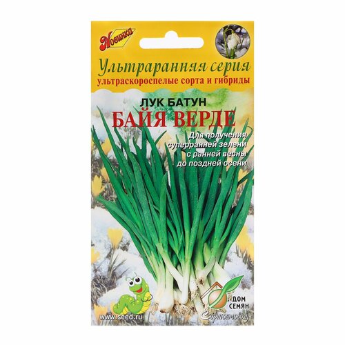 Семена Лук батун Байя Верде, 50 шт семена лук батун байя верде 0 2г agroelita seminis 3 упаковки