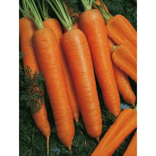 Коллекционные семена моркови Нирим F1
