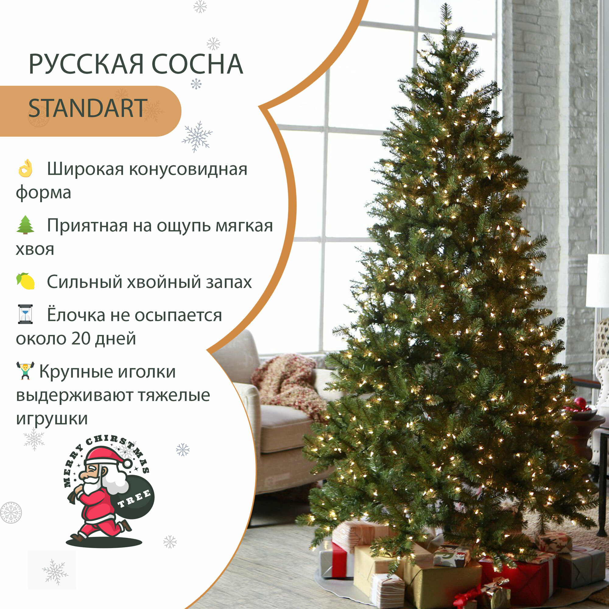 Русская сосна, 200-225 см, Живая новогодняя ёлка