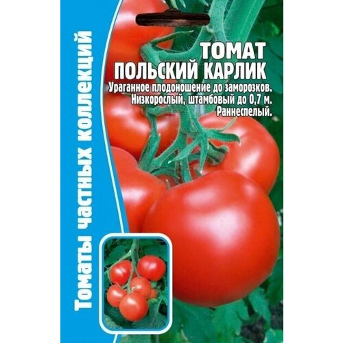 Томат Польский карлик (10 семян * 1 упаковка) редкие семена