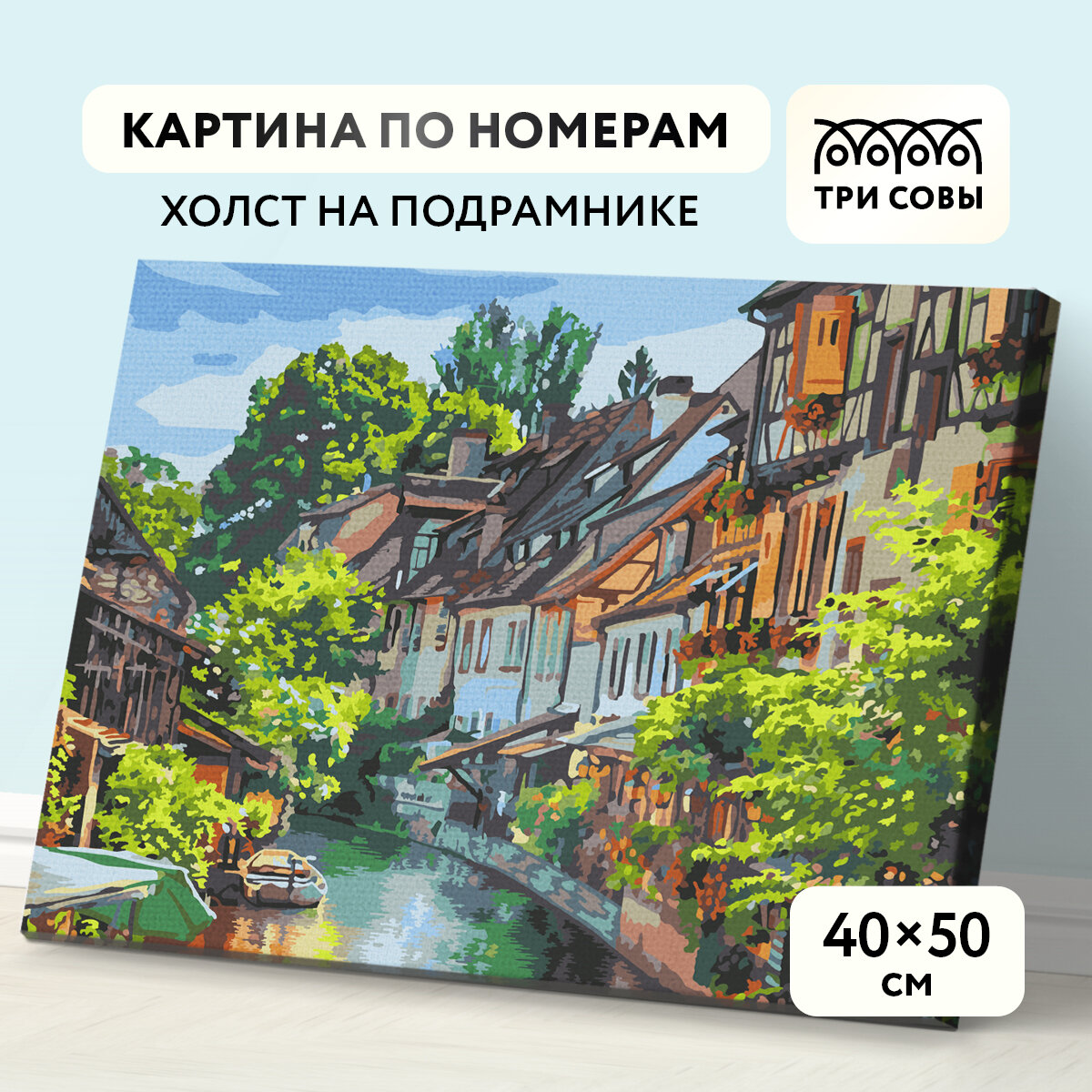 Картина по номерам на холсте на подрамнике 40*50 / ТРИ совы "Кольмар. Франция" / раскраска для детей и для взрослых, набор для творчества и хобби, живопись