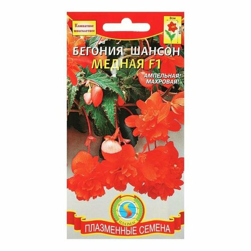 Семена цветов Бегония "Шансон Медная", F1, махровая, драже 5 шт 360332 (2 шт)
