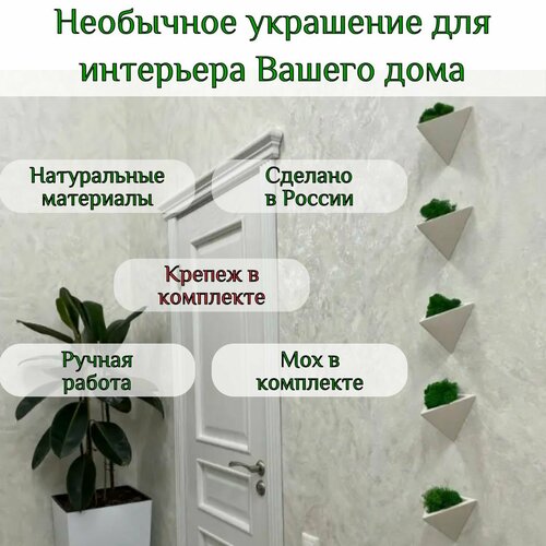 Декор для дома на стену, изделия из гипса со стабилизированным мхом, 5 штук, белые матовые