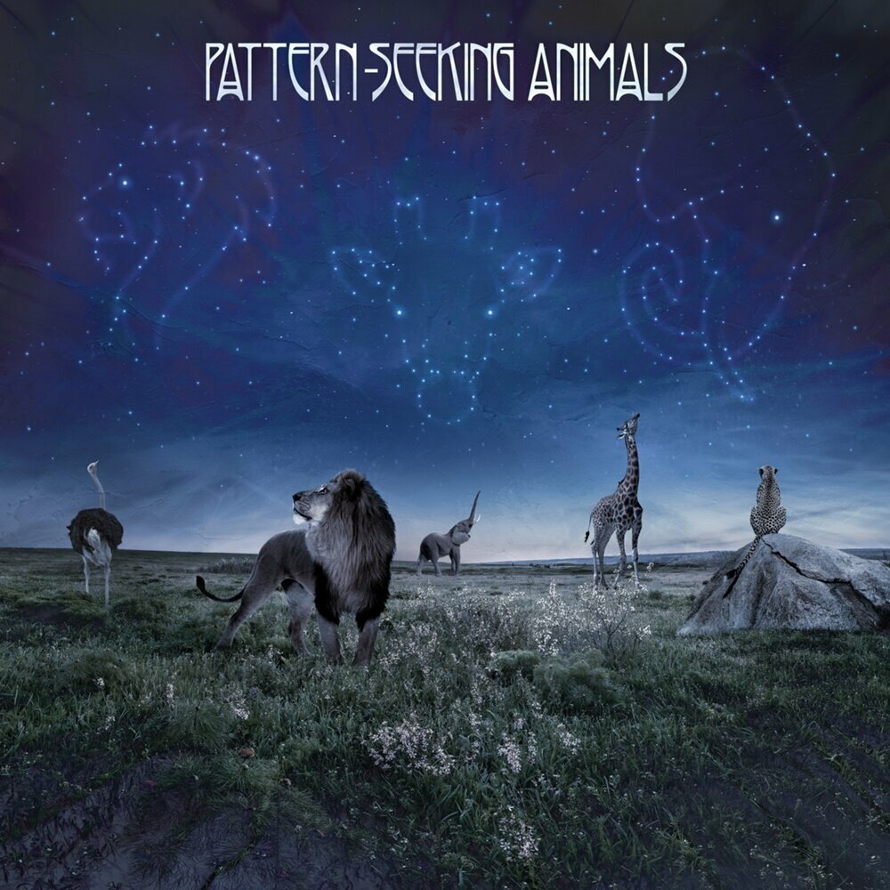 AUDIO CD Pattern-Seeking Animals - Pattern-Seeking Animals (Limited CD Digipak). 1 CD