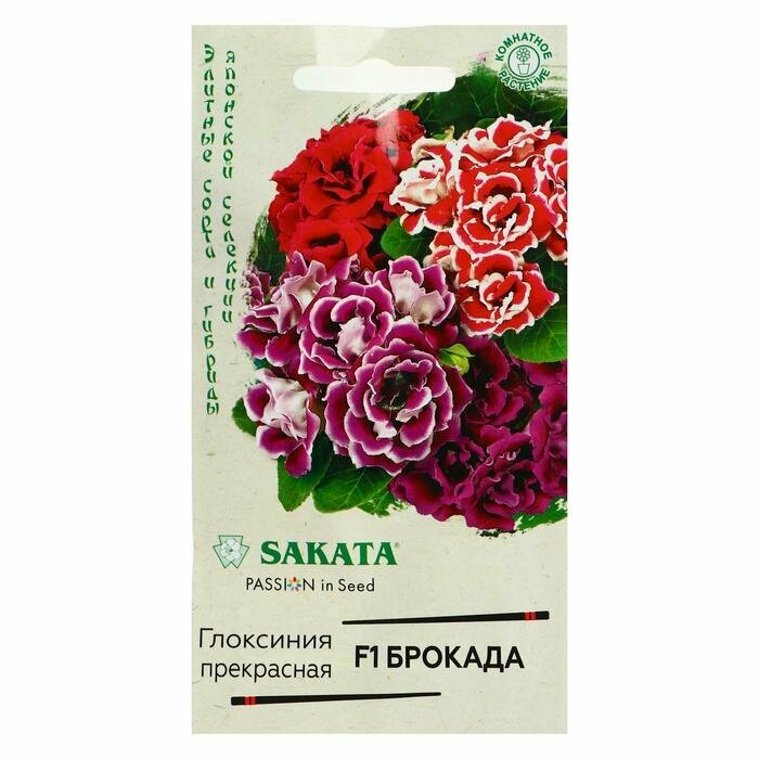 Семена цветов Глоксиния "Брокада", F1, гранулы, 4 шт.