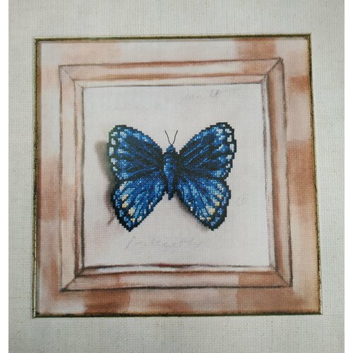 Набор для вышивания Бабочка, украшенный фон 23*23 см.