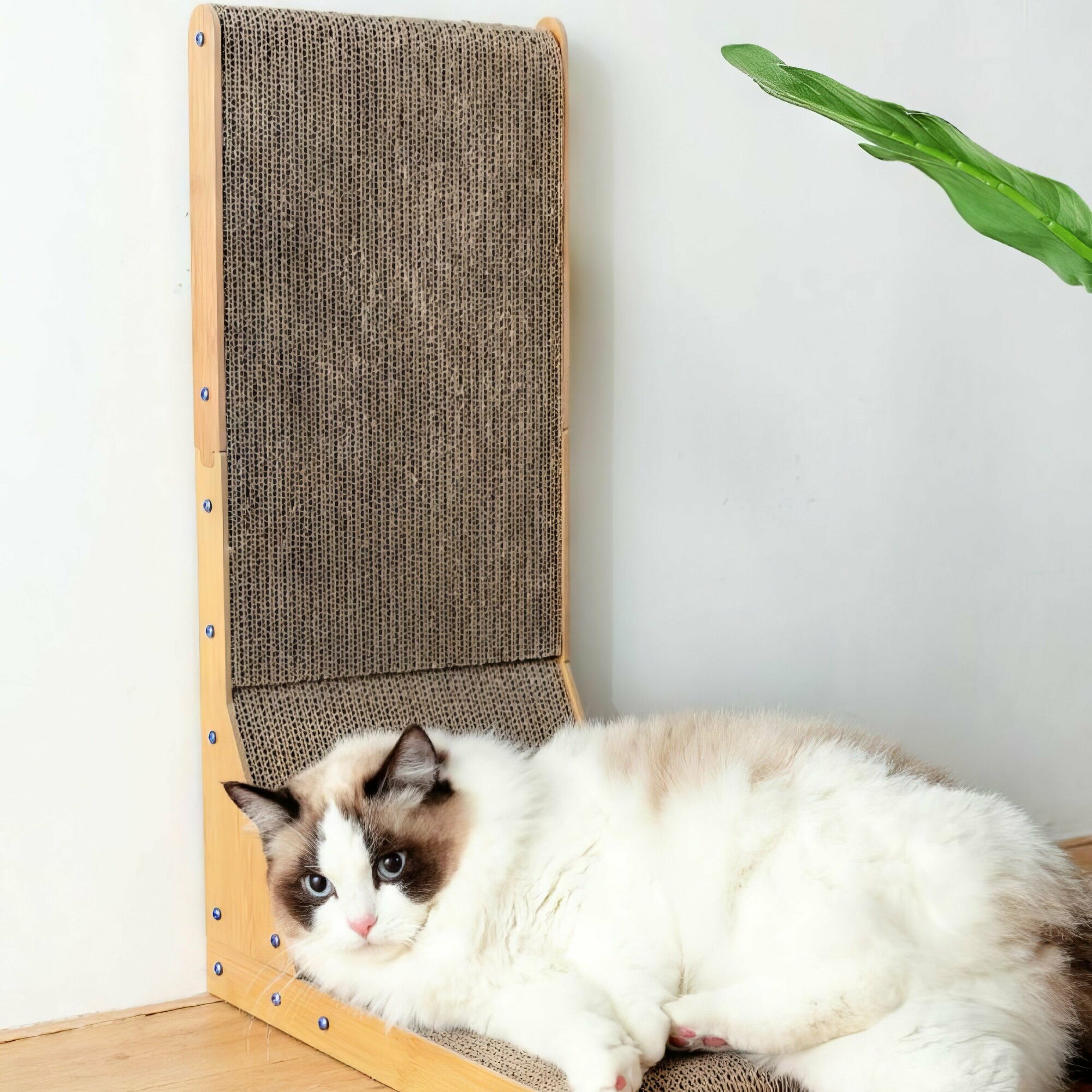 Когтеточка для кошек картонная MEJIZOO, 60x40x25 см - фотография № 6