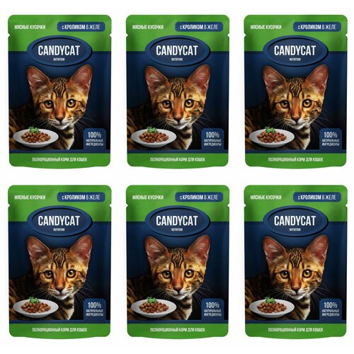 CandyCat Пауч для кошек, кусочки с Кроликом в желе, 85 г, 6 шт