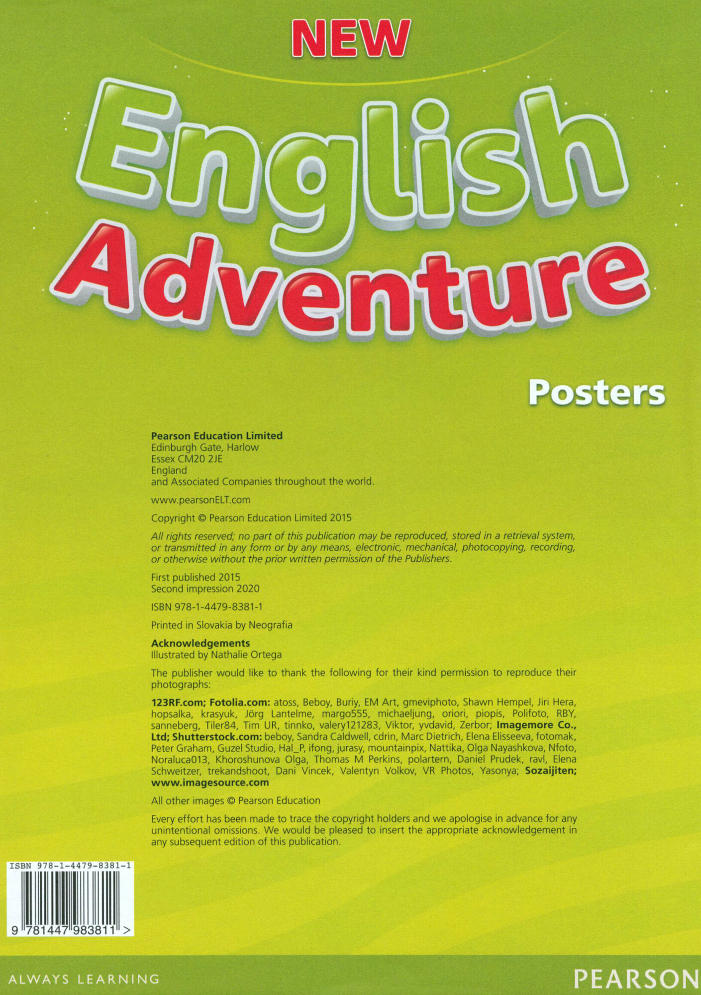 New English Adventure. Level 1. Posters - фото №2