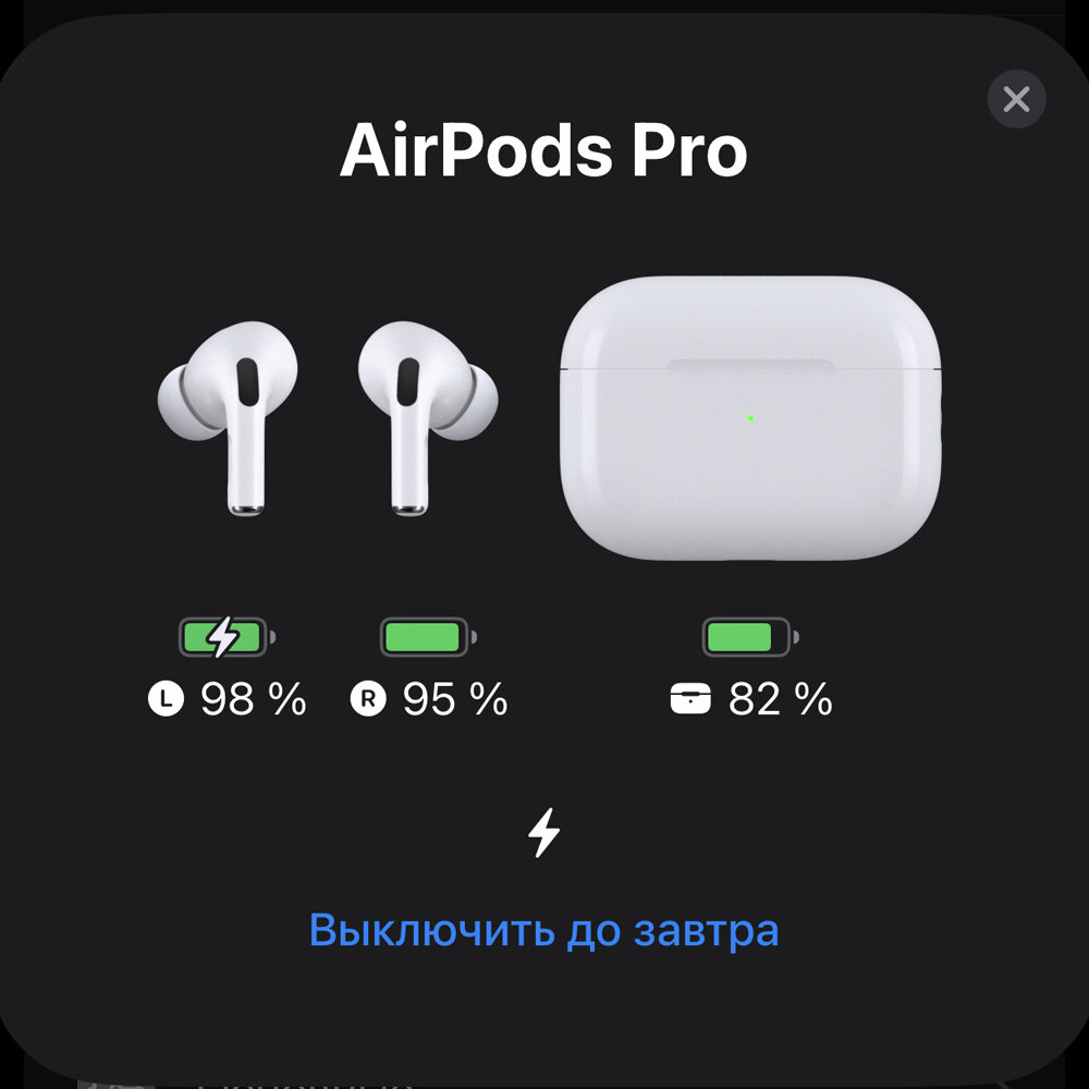 Беспроводные наушники Pods Pro 2 с режимом шумоподавления и прозрачности / Bluetooth наушники / Кабель Type-C на Type-С (новая версия) — фото 6