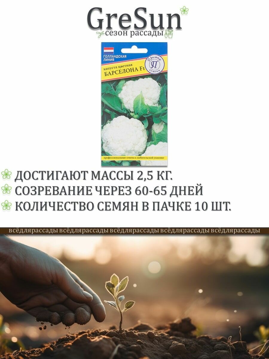 Семена Капуста пекинская «Натсуки» F1 Леруа Мерлен - фото №9
