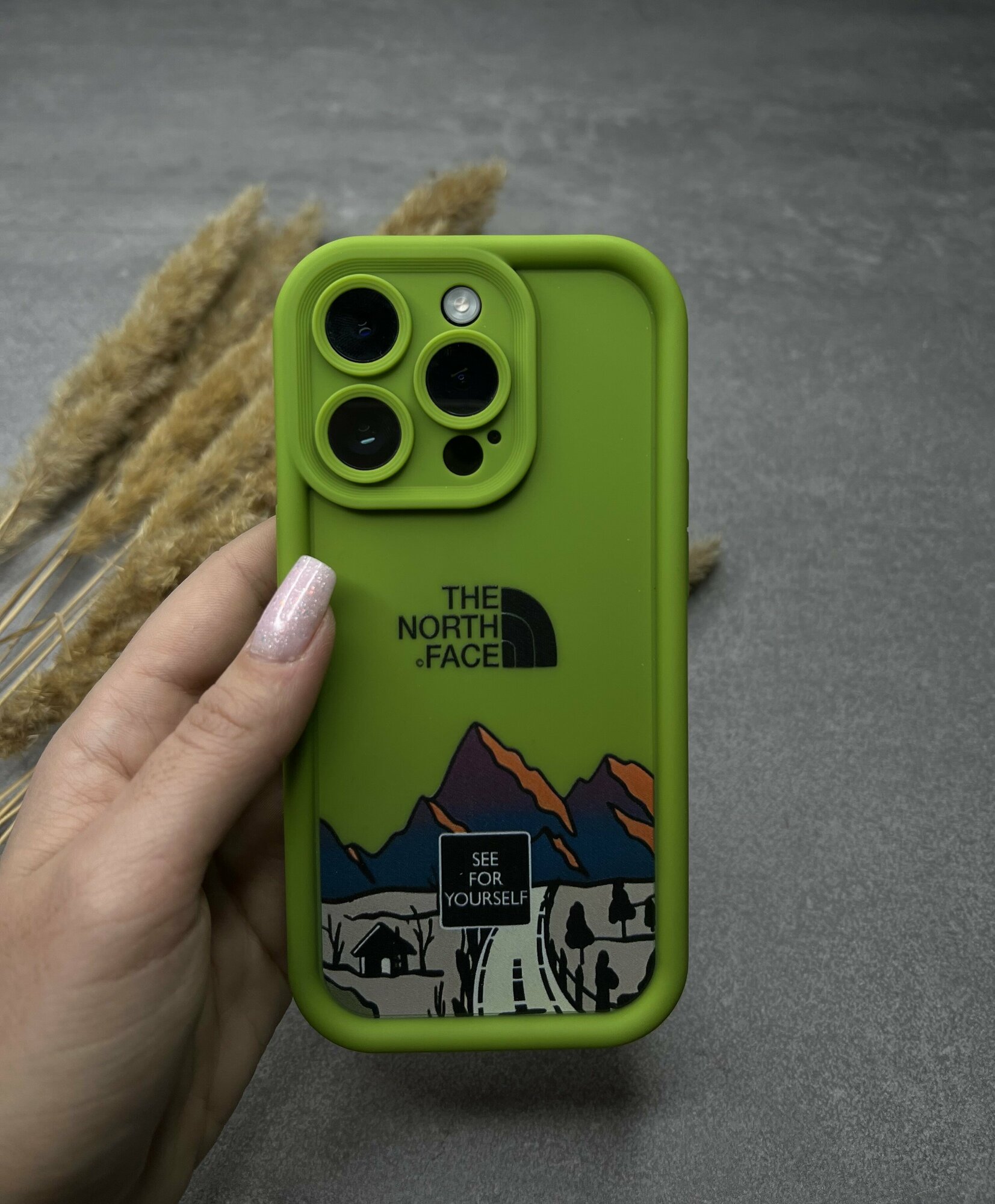 Чехол THE NORTH FACE для iPhone 14Pro зеленый