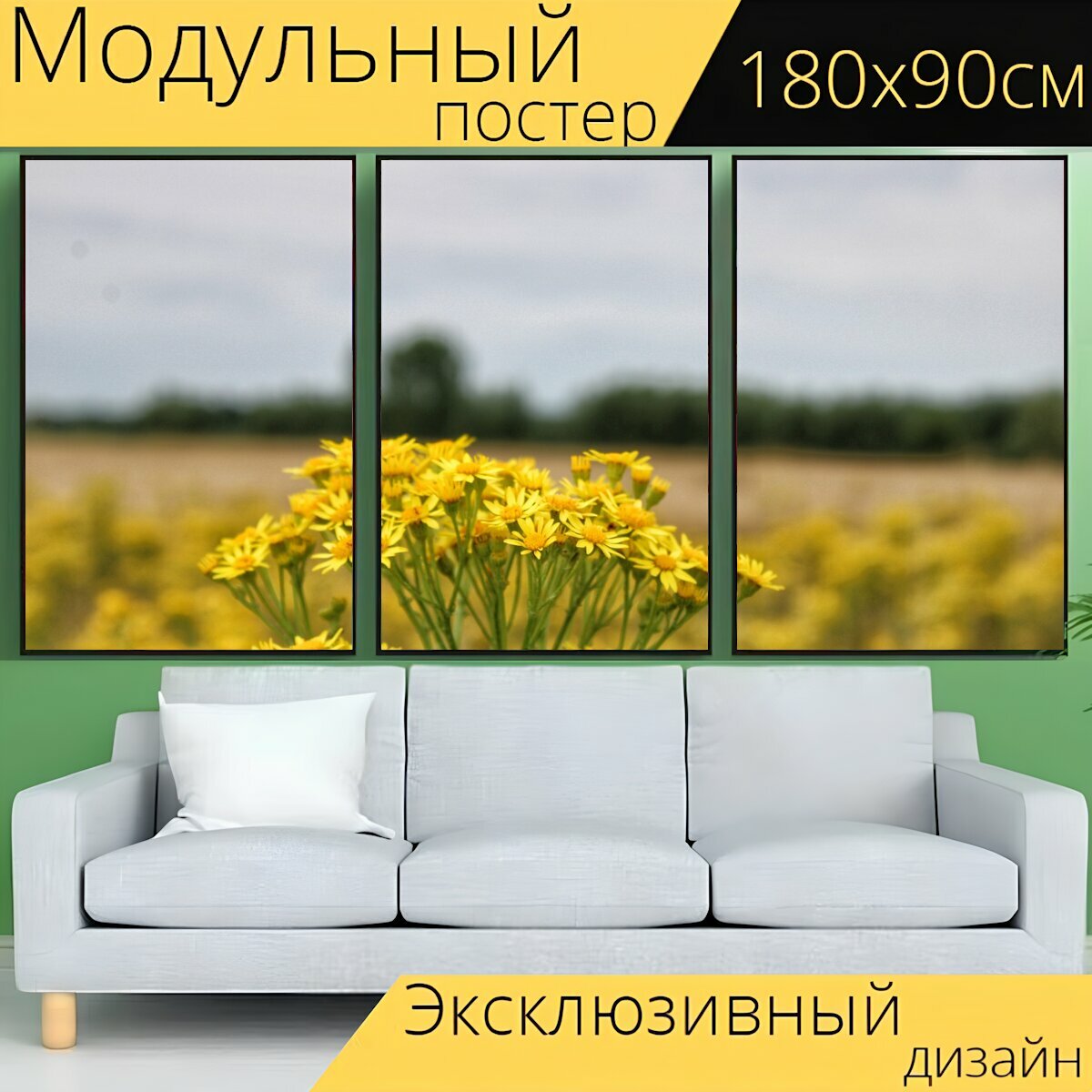 Модульный постер "Цветок, желтый, поле" 180 x 90 см. для интерьера