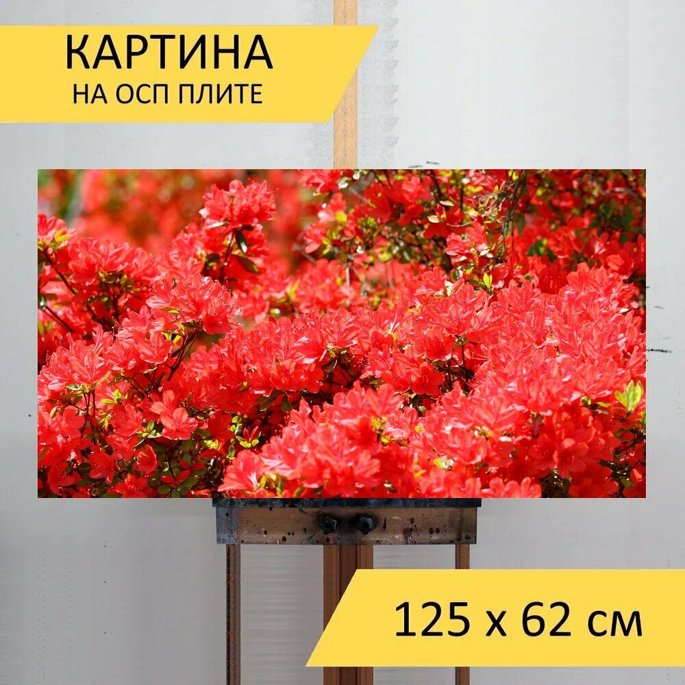 Картина на ОСП 125х62 см. 