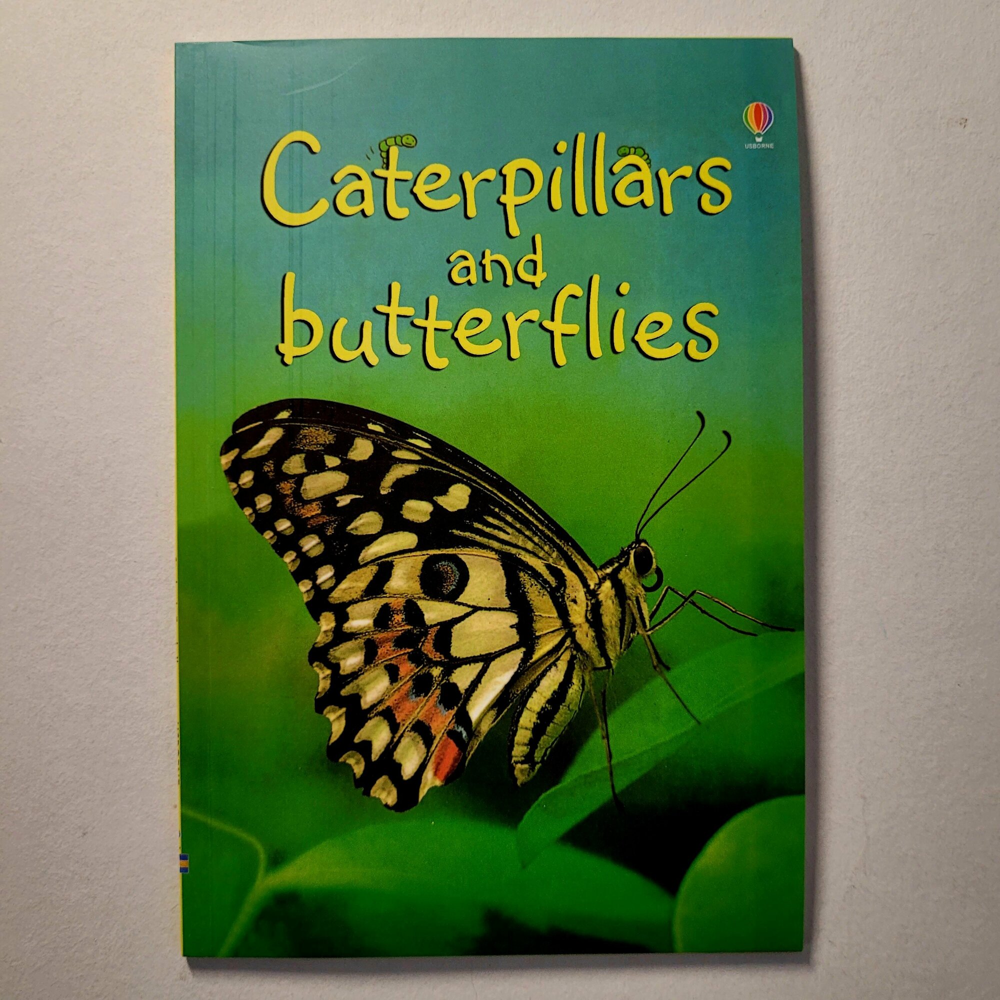 Caterpillars and Butterflies (Turnbull Stepanie) - фото №8