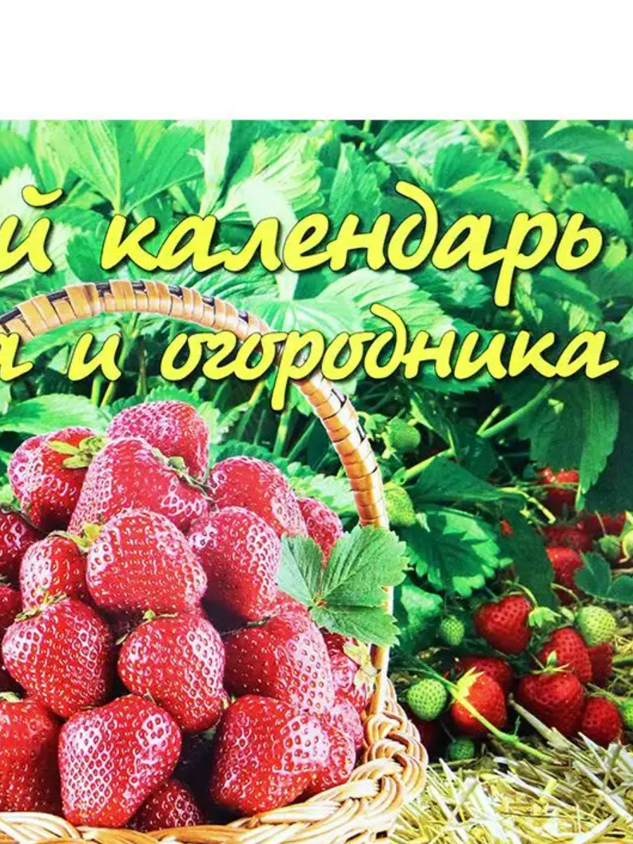 День за днём Лунный календарь садовода и огородника на 2024 год