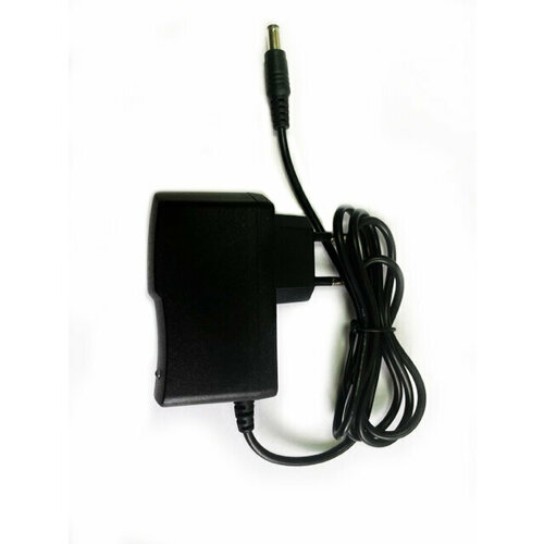 Зарядное устройство ДА-12П/2 Ли Победа