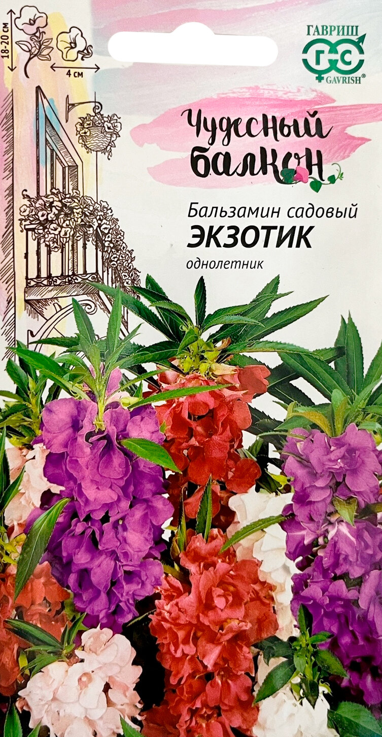 Бальзамин Экзотик (садовый) карлик.* 0,1 г серия Чудесный балкон