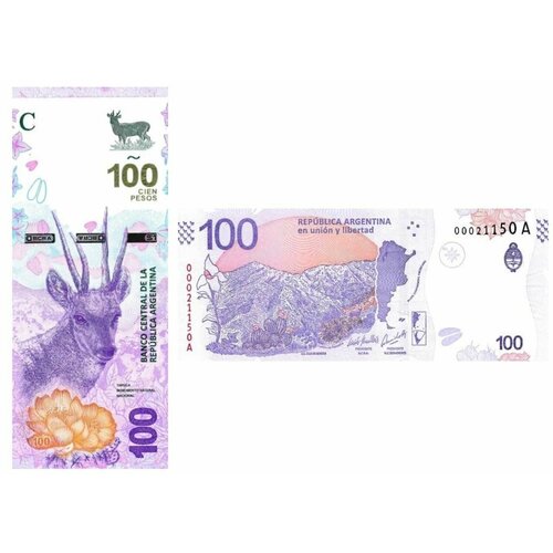Банкнота Аргентина 100 песо 2018 года UNC банкнота номиналом 10 песо 2016 года аргентина unc