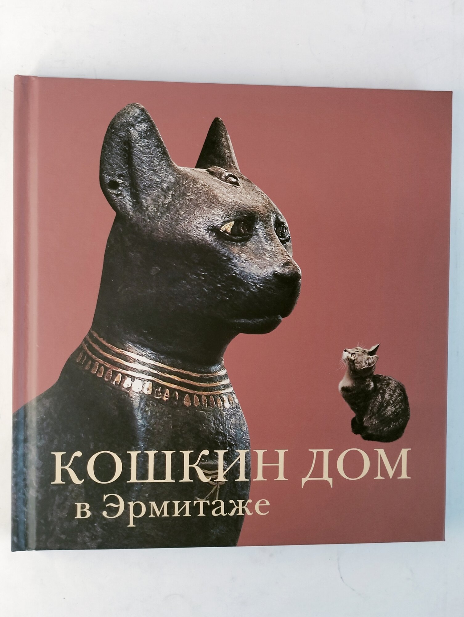 Кошкин дом в Эрмитаже (Голь Николай Михайлович, Халтунен Мария Борисовна) - фото №11