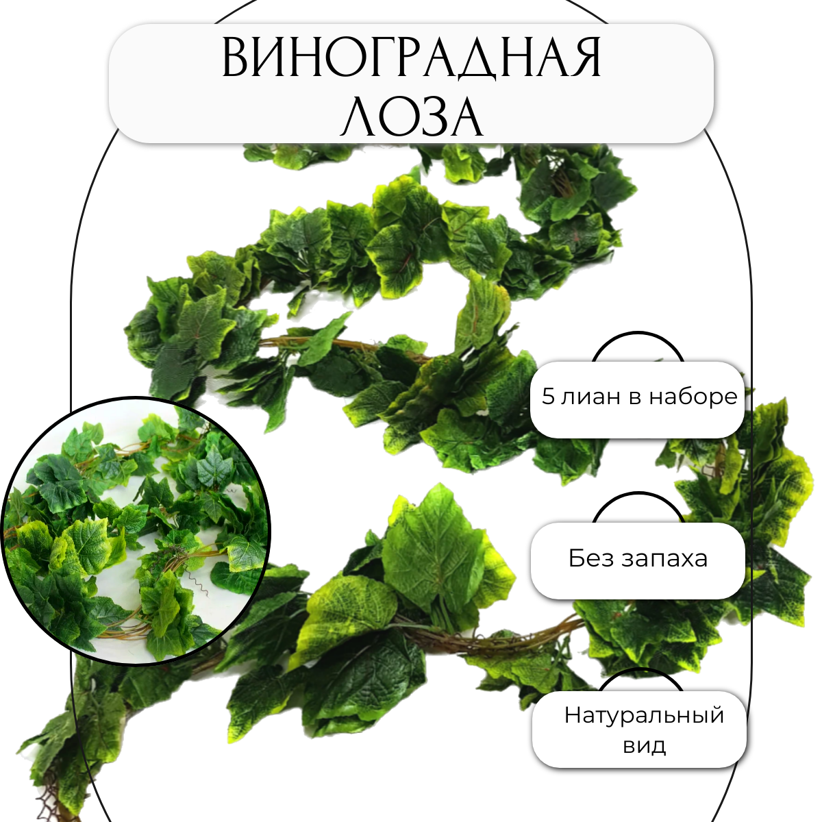 Лиана Виноградная лоза 240см