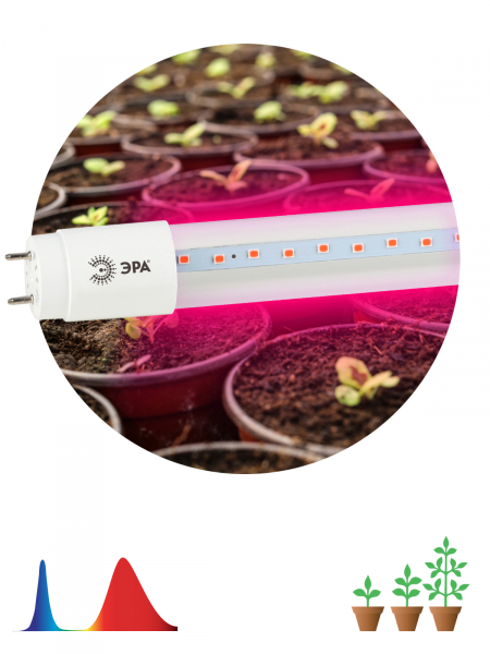 Светодиодная лампа ЭРА FITO-9Вт-RB-Т8-G13-NL для растений Б0042986 / лампочка led