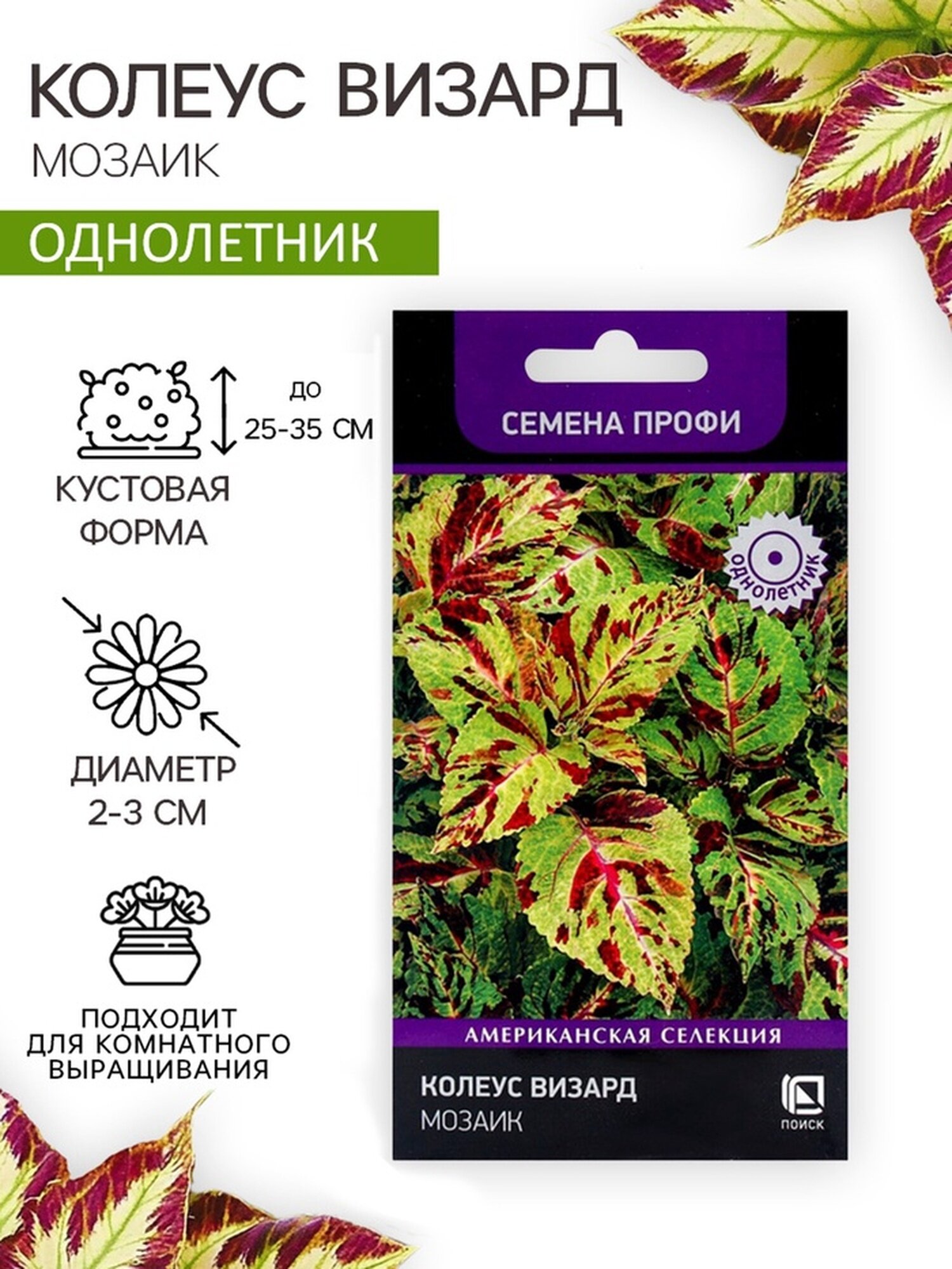 Семена цветов поиск 